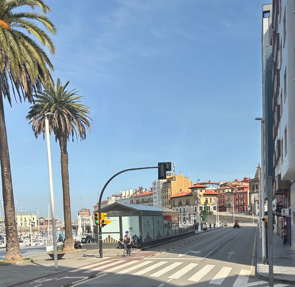 Street view featuring palm trees, a traffic light, and a cyclist on the road, overlooking a marina with boats and colorful buildings in the background under a clear blue sky.