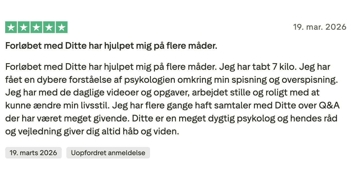 Anmeldelse fra Bodil