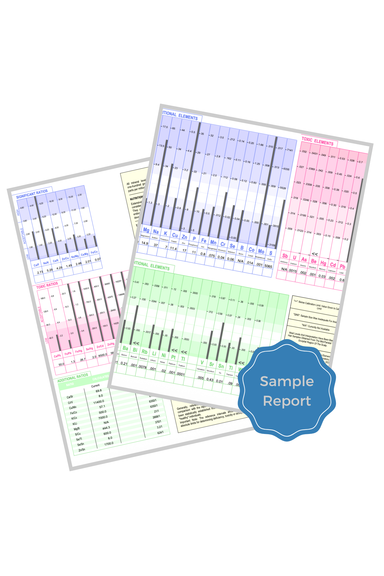 The Mineral Foundations Analysis report and 90-day plan