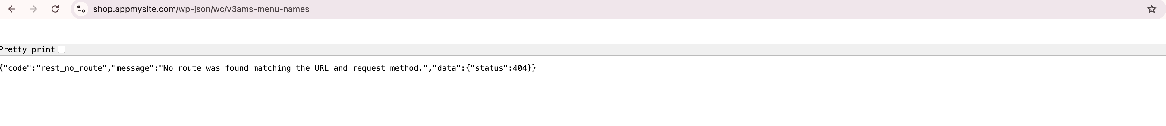 WordPress REST API configuration settings