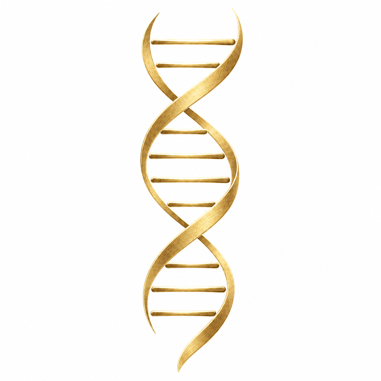 Science-Informed Education