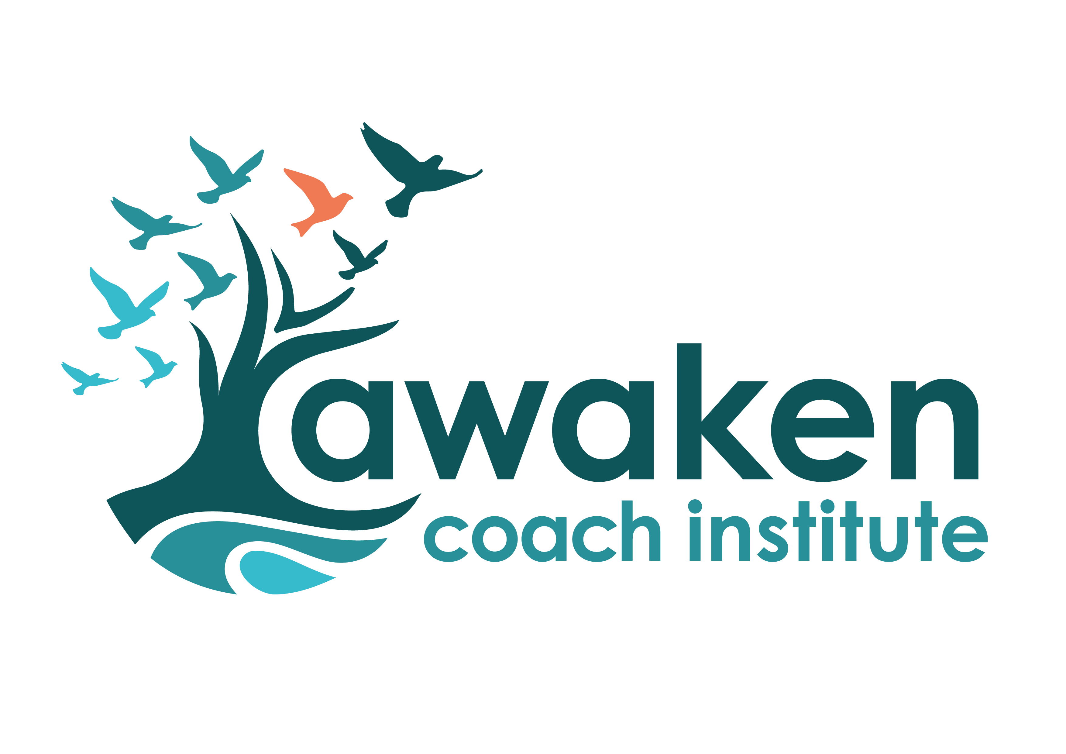 Awaken Coach Institute