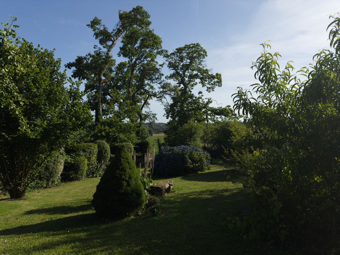 Le jardin privatif de Kervran sous un ciel bleu, hortensias et grands arbres