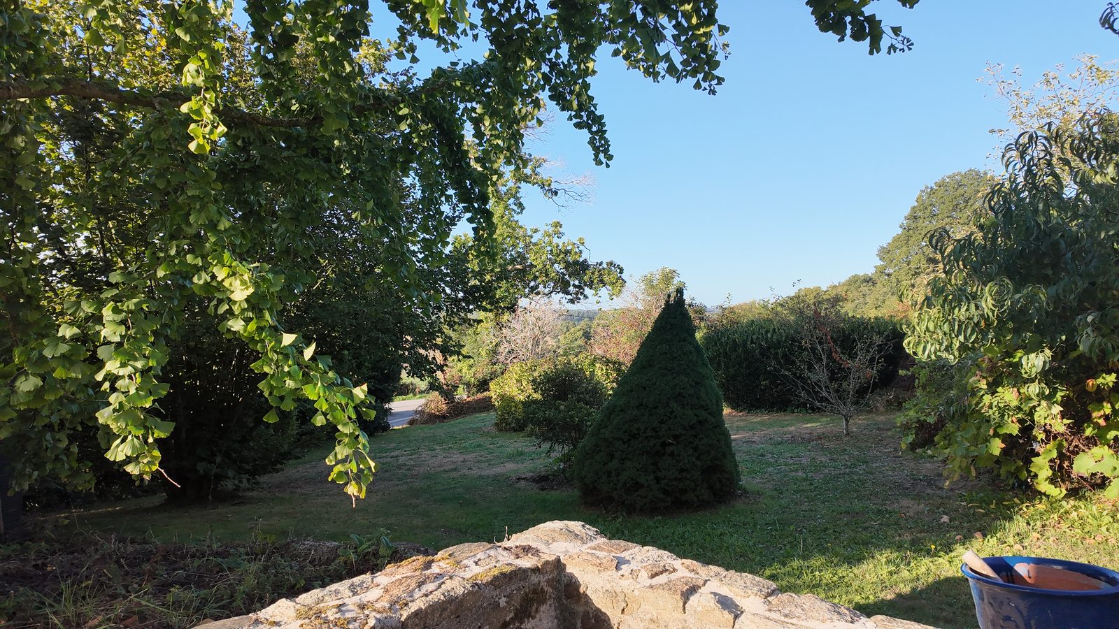 Le jardin en fin de journée, la lumière rasante sur l’herbe