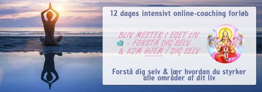 NYbanner12dagesforloeb-email.jpg