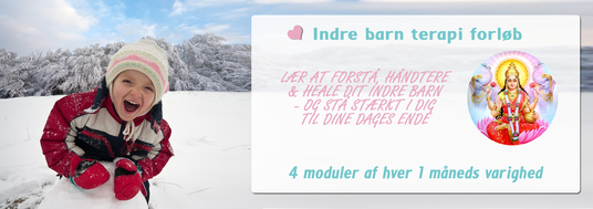 indrebarnbanner2016-email.jpg