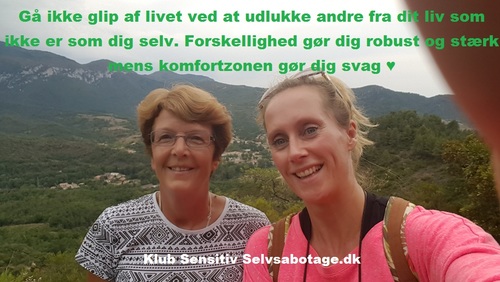 komfortzonen-forskellighed-large.jpg