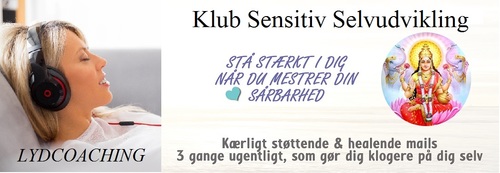 KlubSensitivUdvikling-BannerNOV2016xx-large.jpg