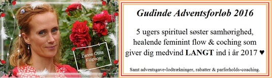 advents-banner2016-email.jpg