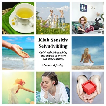 SensitivSelvudviklingLOGO2017-medium.jpg