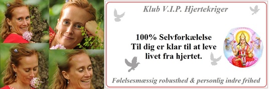 VIPbanner2017-email.jpg