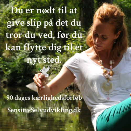 GivSlipPaaDetGamle-large.png