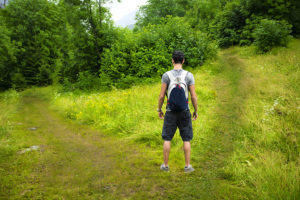 Hiker in woods facing choice of two paths