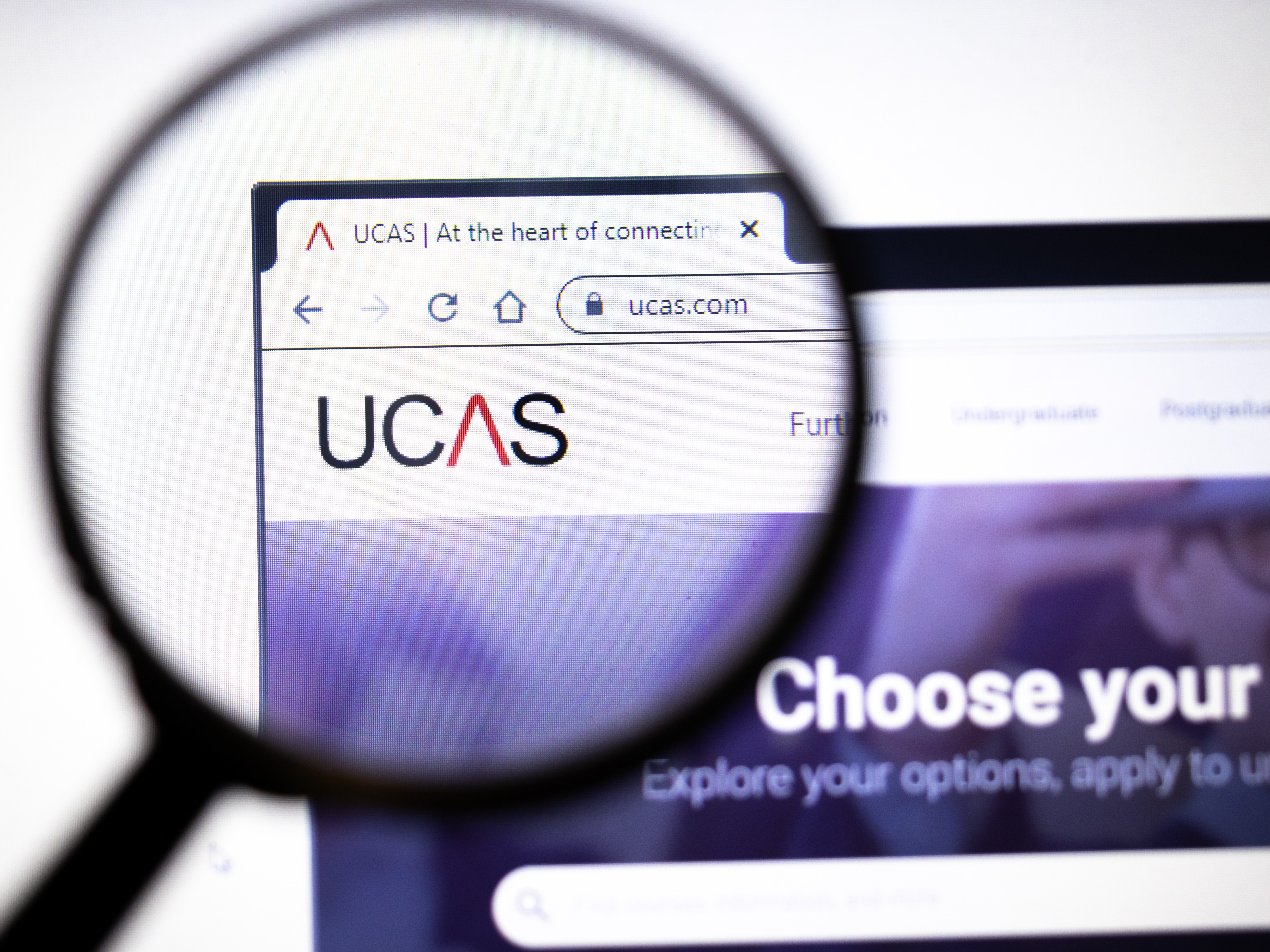 ucas reference employer template