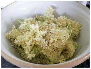 elderflowers