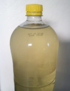 bottling elderflower cordial