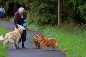 exercise; get fit; herbal medicine; anti-cancer