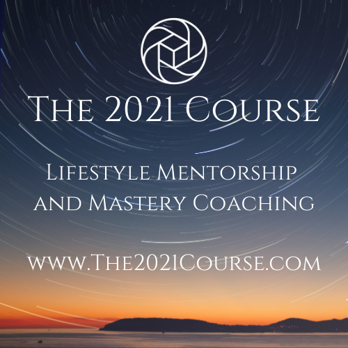 Live taught Courses SCHOOL OF IMAGINATION live-taught-courses-school-of-imagination