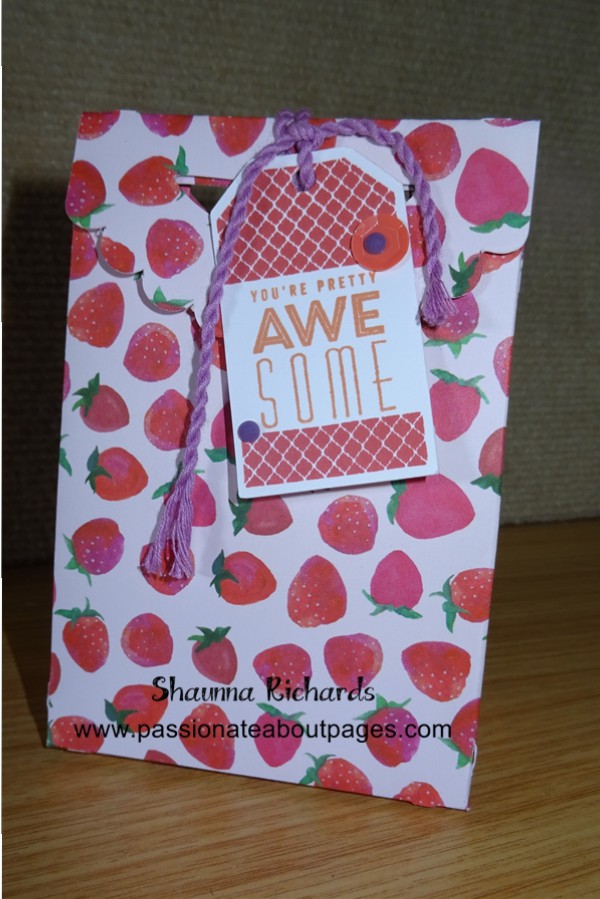 The fruity prints of the Taste of Summer papers (CC1038) are perfect for gift bags.  This one stands about 5