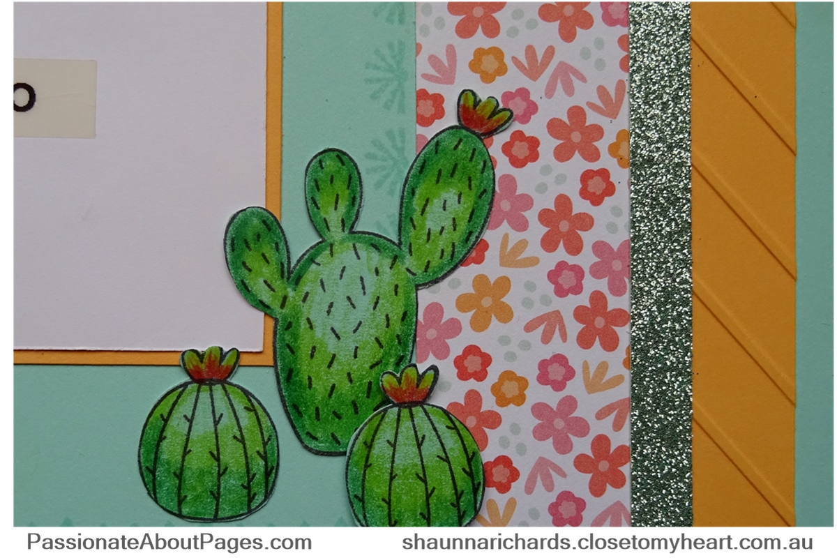 Prickly Pear Details - Page 001