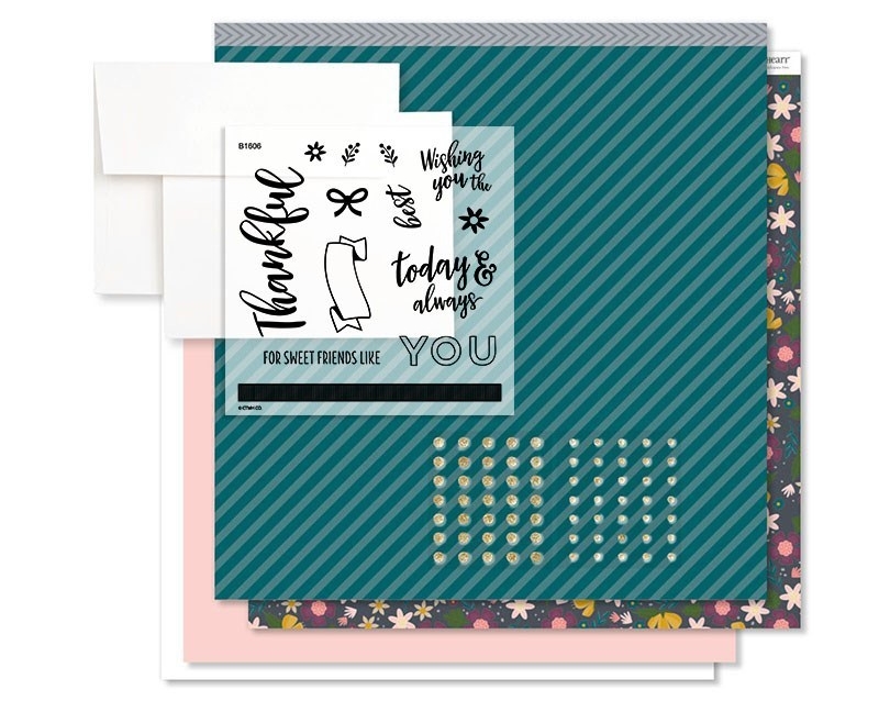 Documented Sweet Friends card kit availalbe until the end of Aug, 2018 from www.shaunnarichards.closetomyheart.com.au