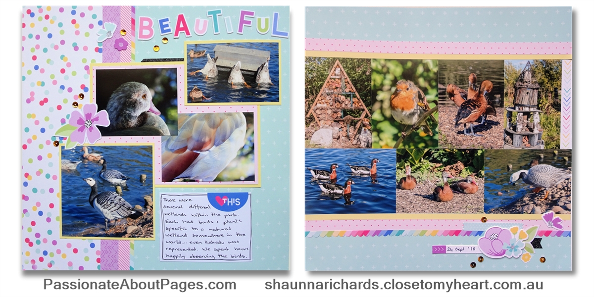 Create bright, fun pages and cards with I Heart Us. Order your collection at www.shaunnarichards.closetomyheart.com.au before the end of April 2019