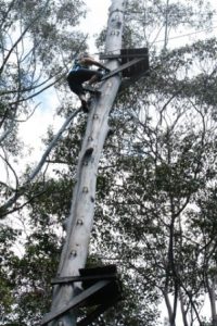 30-meter-tree-jump-deb