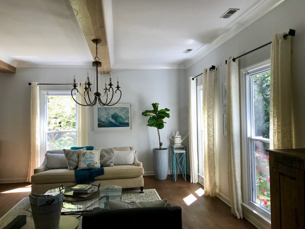 Living room with fiddle leaf fig tree 