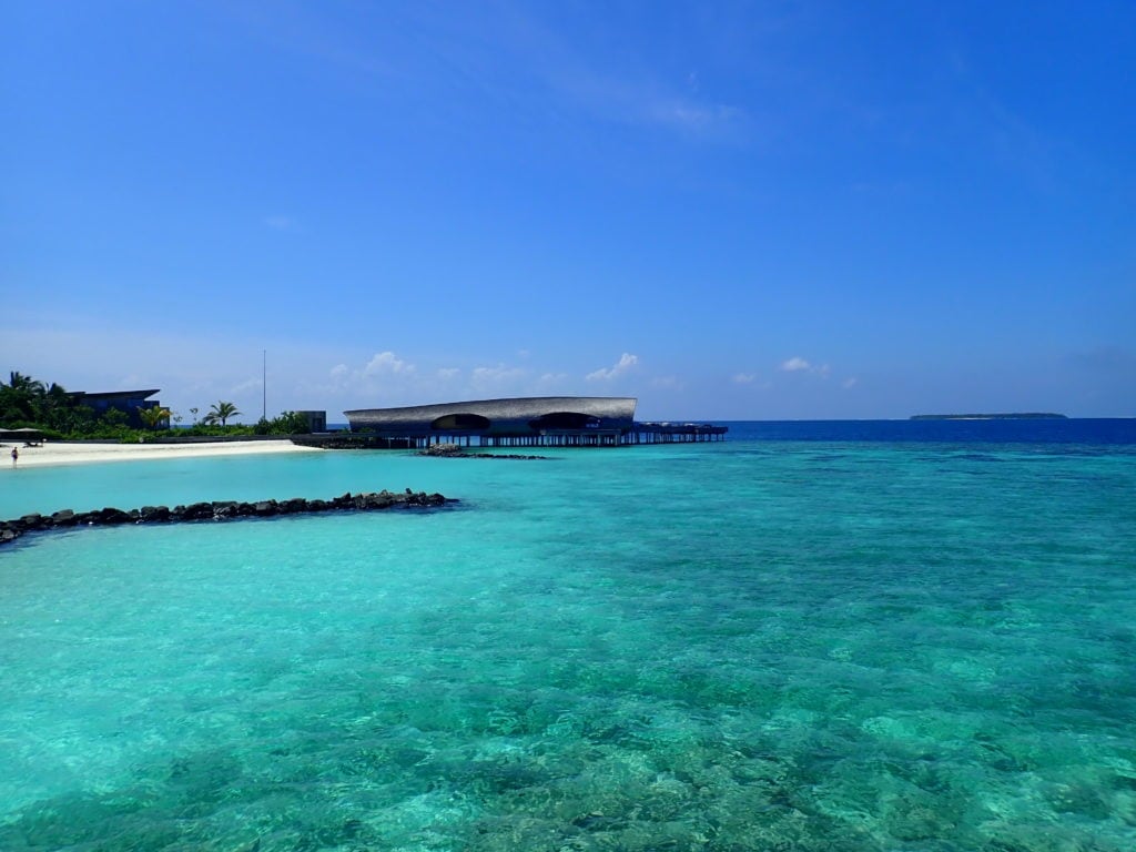 whale bar st regis maldives