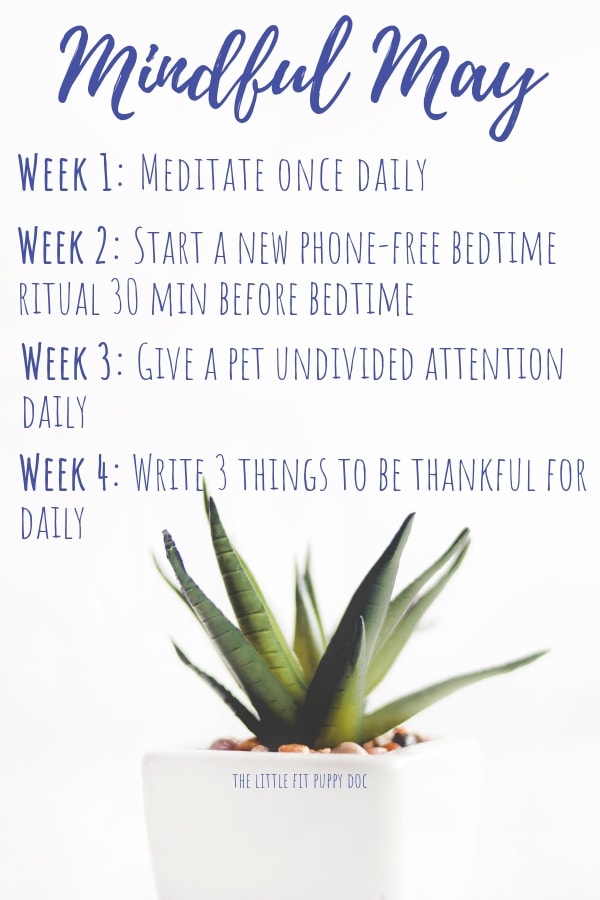 Mindful May Weekly Practices 