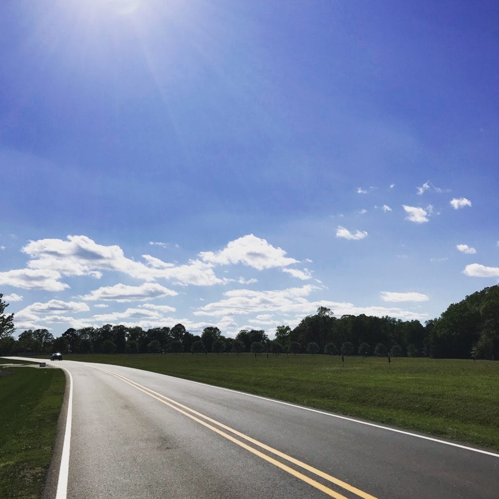 spring, blue sky, outdoor walk