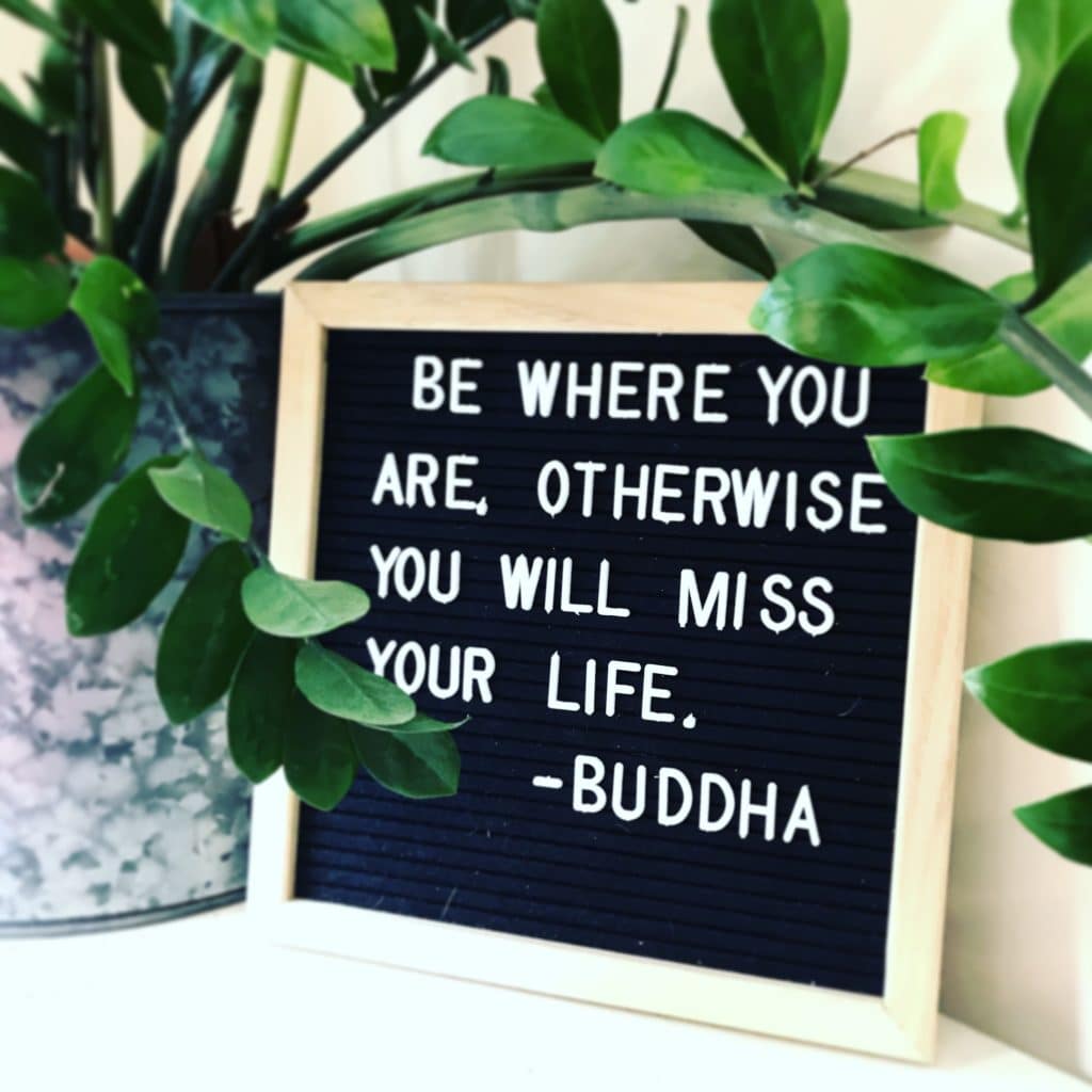 buddha quote