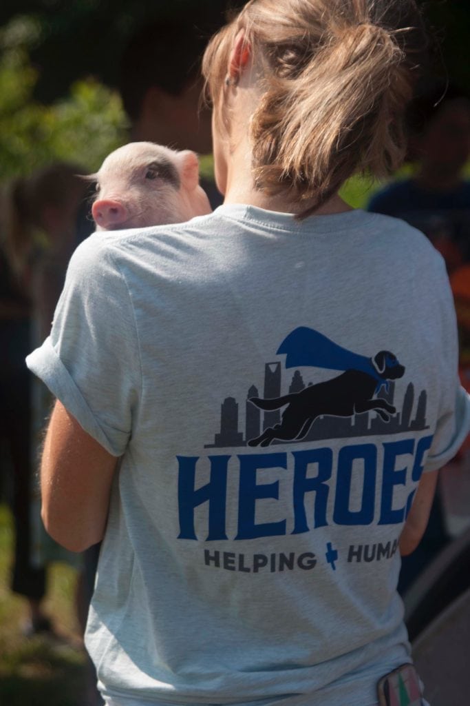 piglet at Heroes Helping Humans