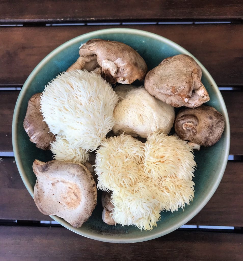 lions mane mushrooms