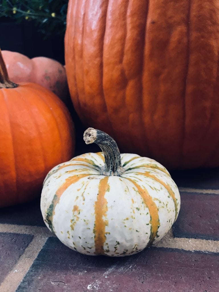 pumpkin workout