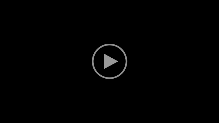 Hundens rolle video final