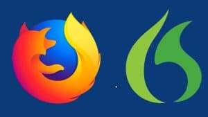 Compatibility of Dragon and Firefox