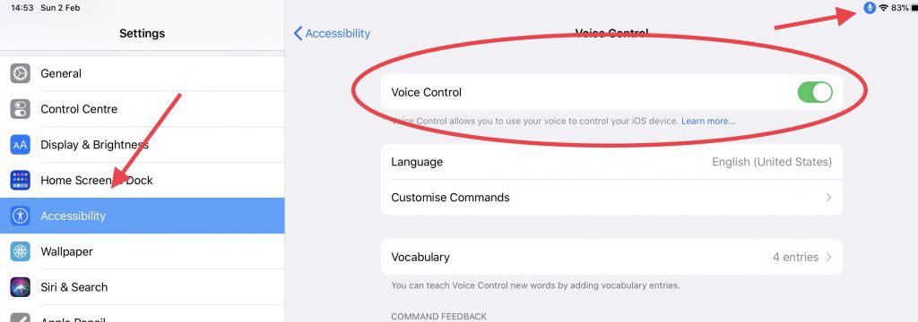 How to enable Apple Voice control on the iPad