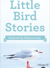 Little Bird Stories Volume IV