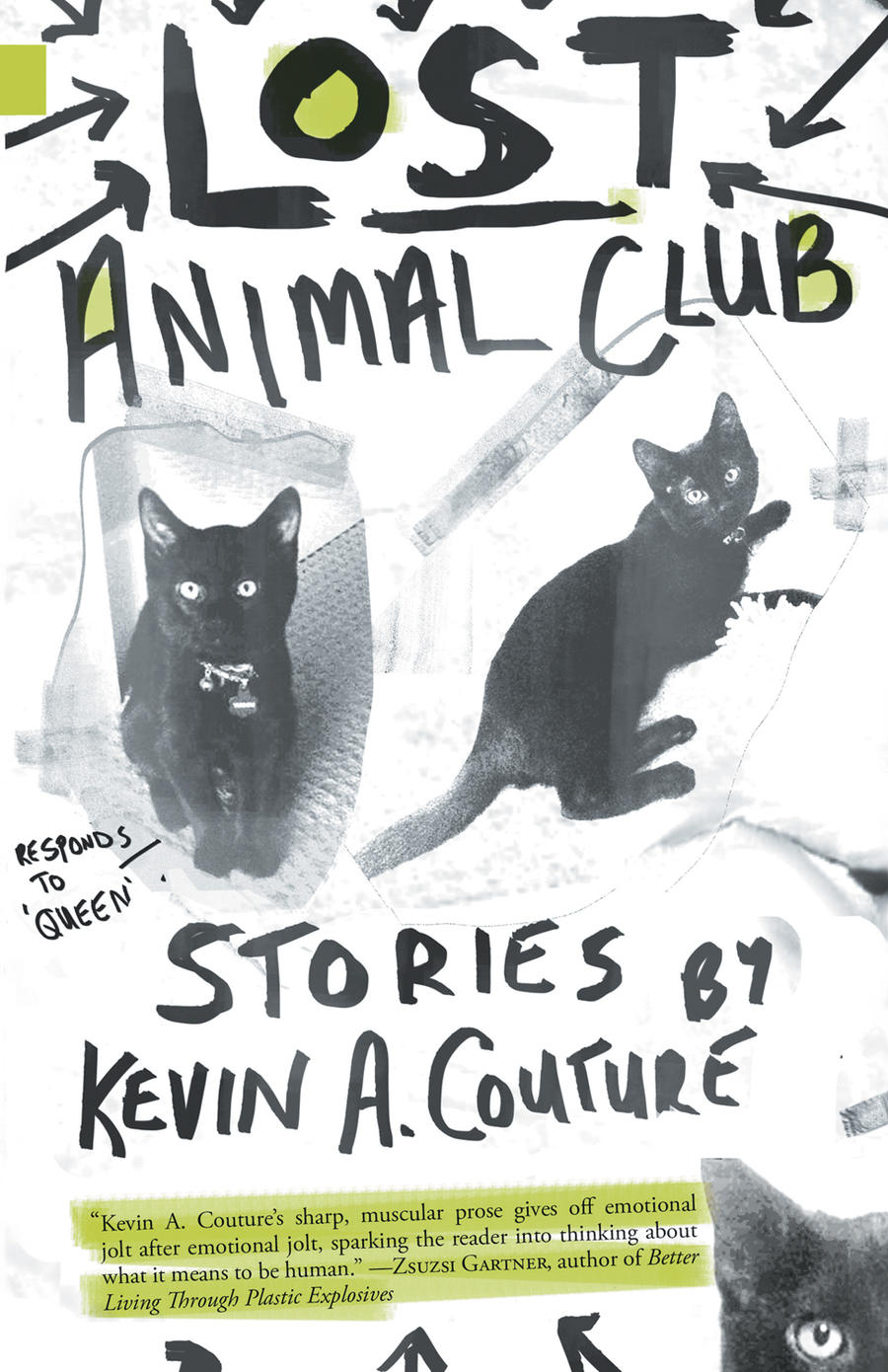 lost-animal-club