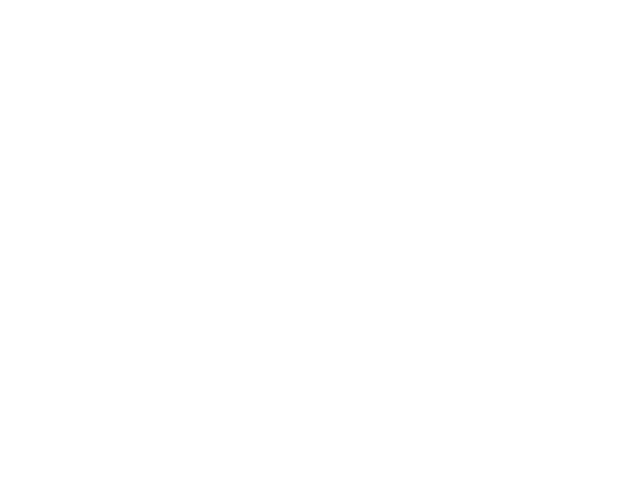 Lisa Newport Style logo