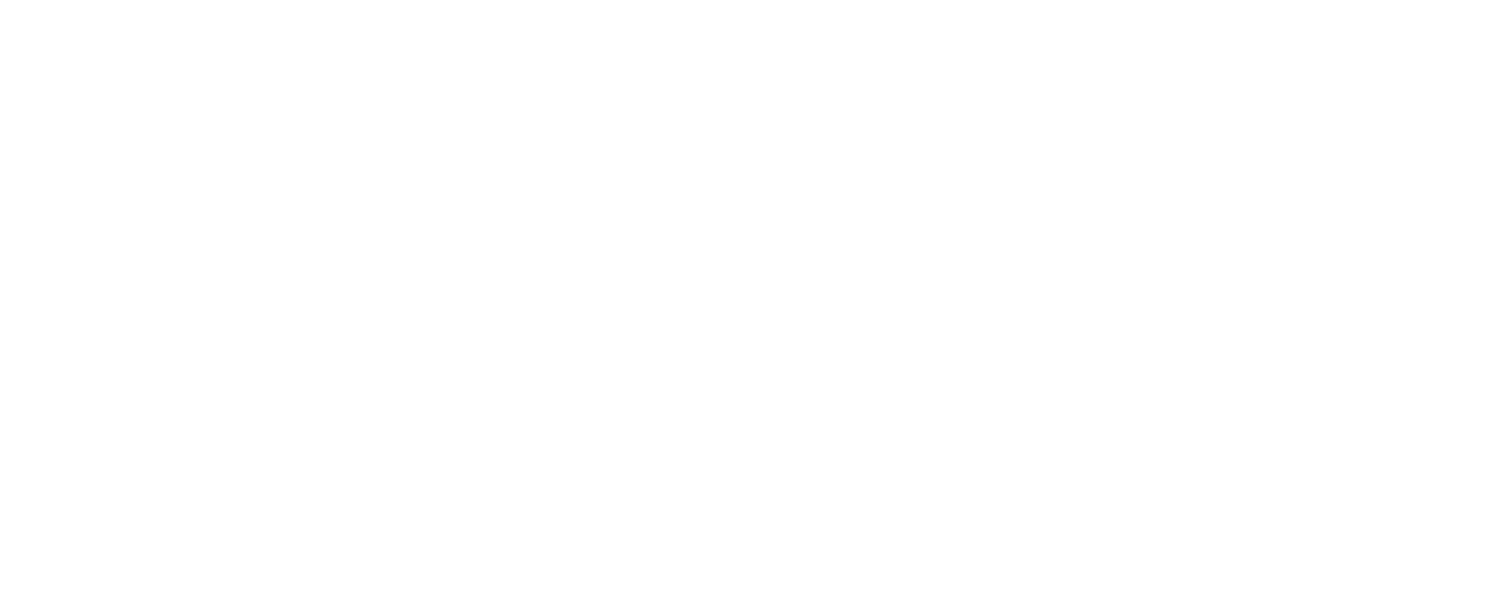 RISE Certification Program logo