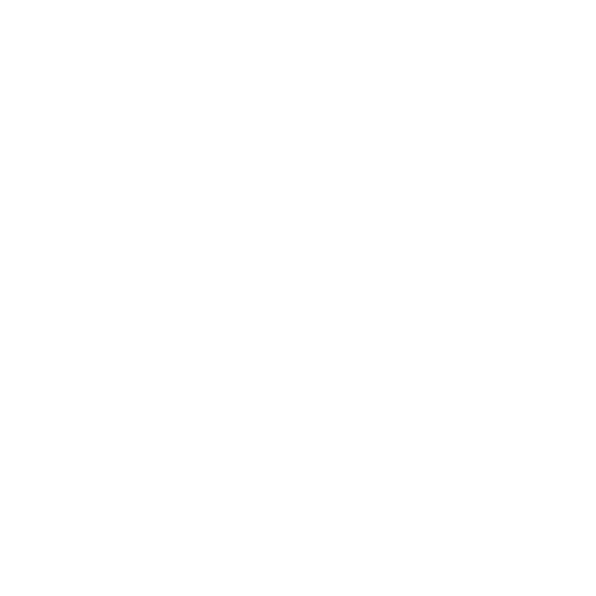 BETTER BALANCE by Palsgaard logo