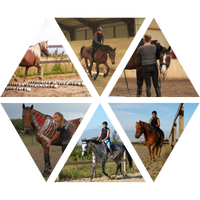 Holdbar Ridehest - Julie Herold & Jeannette Glerup logo