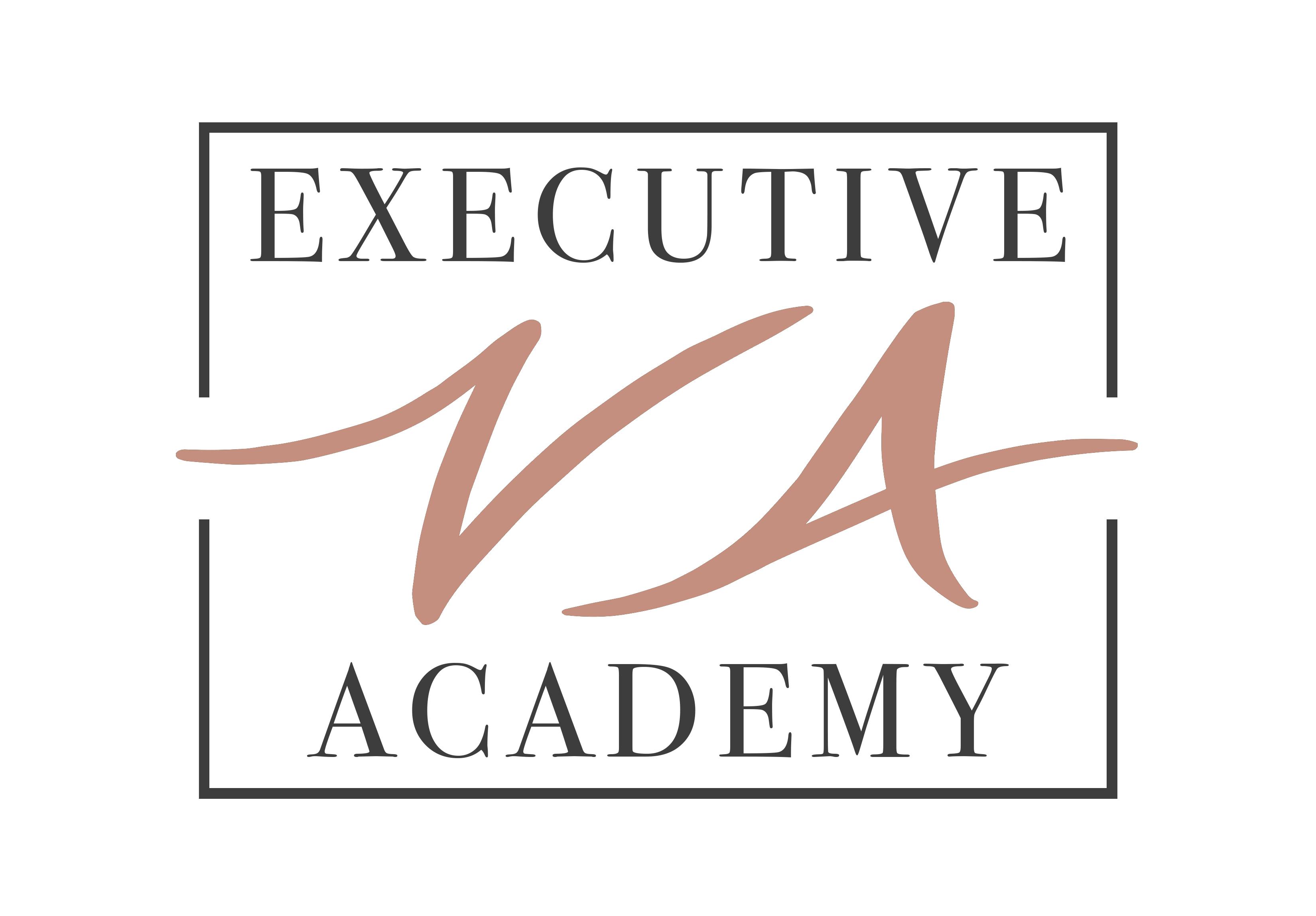 Executive VA Academy logo