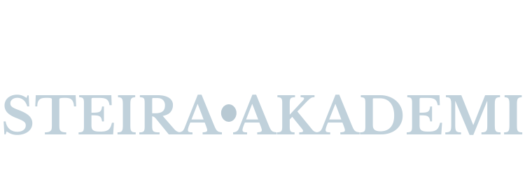 WEB-SIDE STEIRA AKADEMI logo