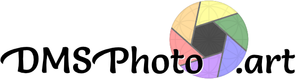 DMS Photo.art logo