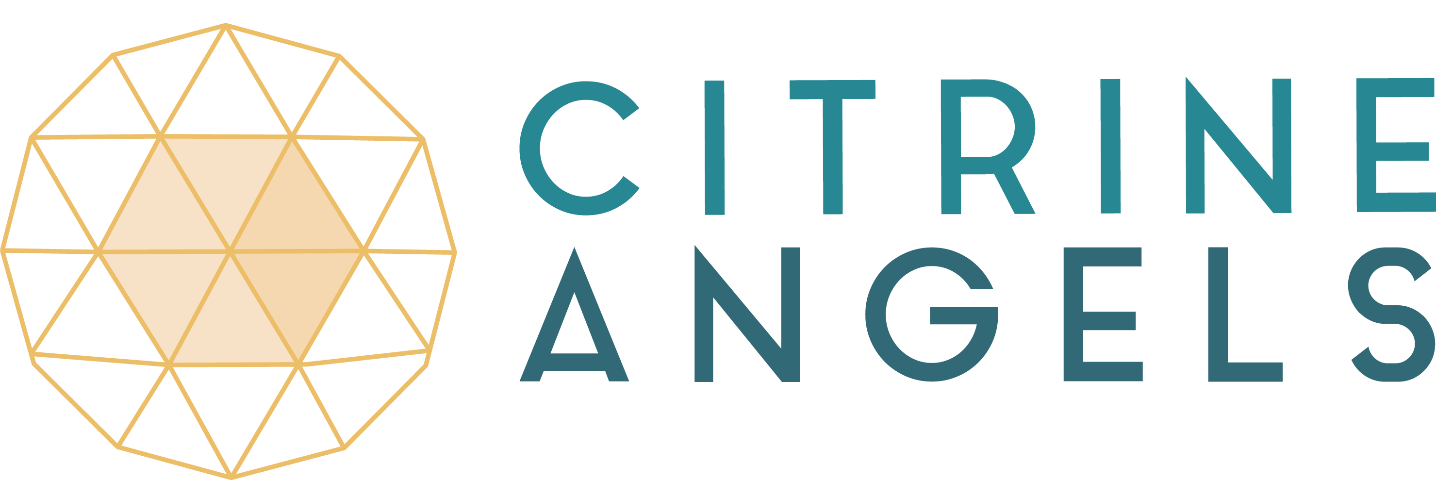 Citrine Angels | Angel Investing for Women by Women logo
