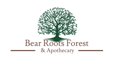 Bear Roots Forest School