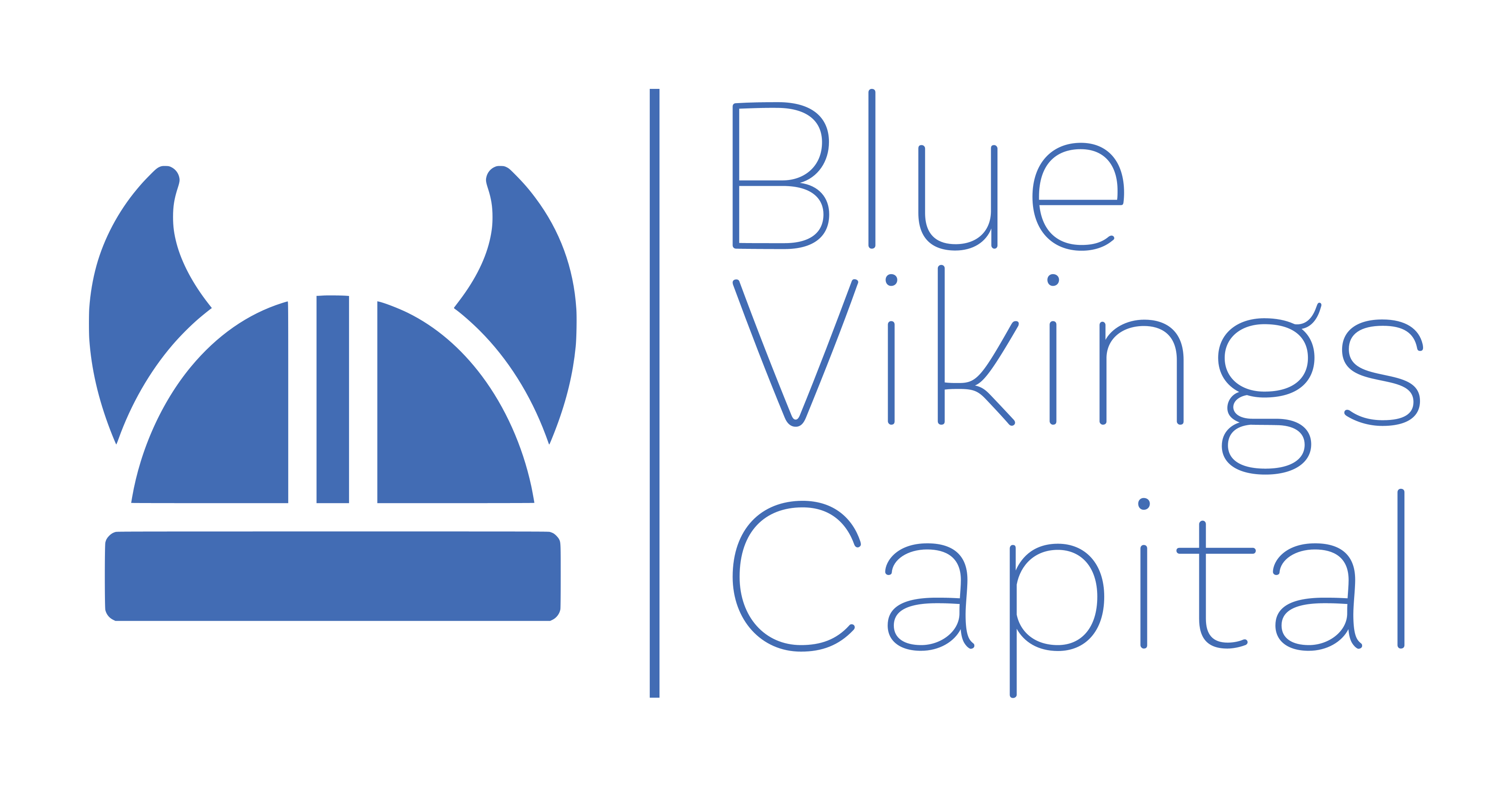 Blue Vikings Capital logo